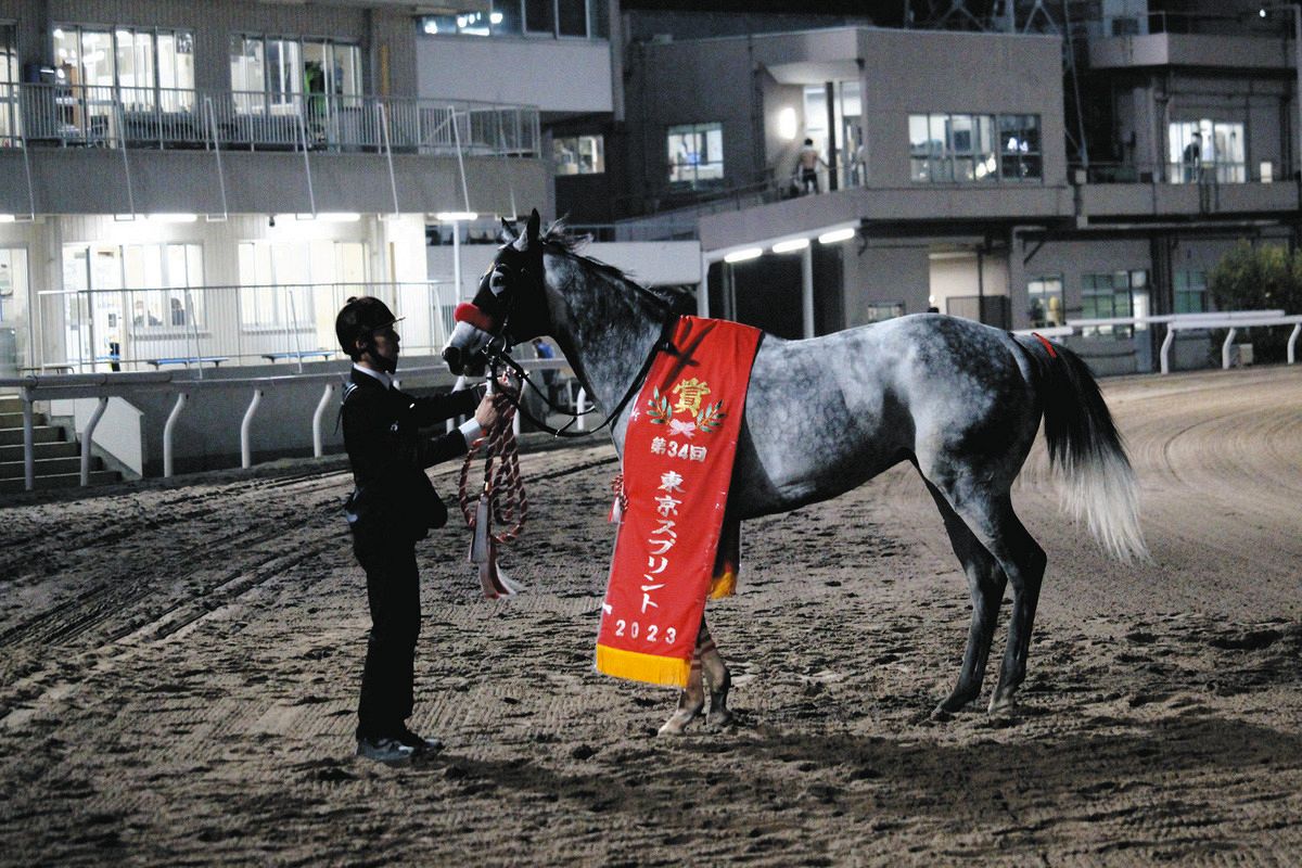 欧州2400メートルG1勝ちはエルコンドルパサーのみ― スポニチ