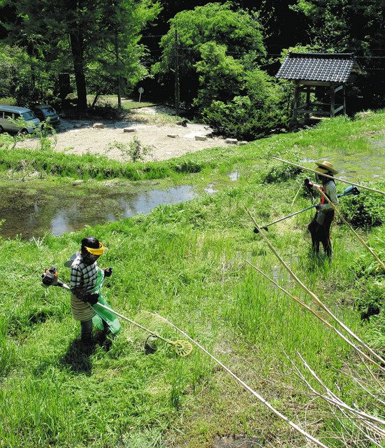 田んぼの教室】耕さず 稲に成長を任せ 研修生「自然とつながりを