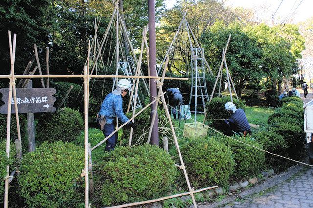 高岡古城公園 冬の装い 樹木雪囲い始まる 北陸中日新聞web