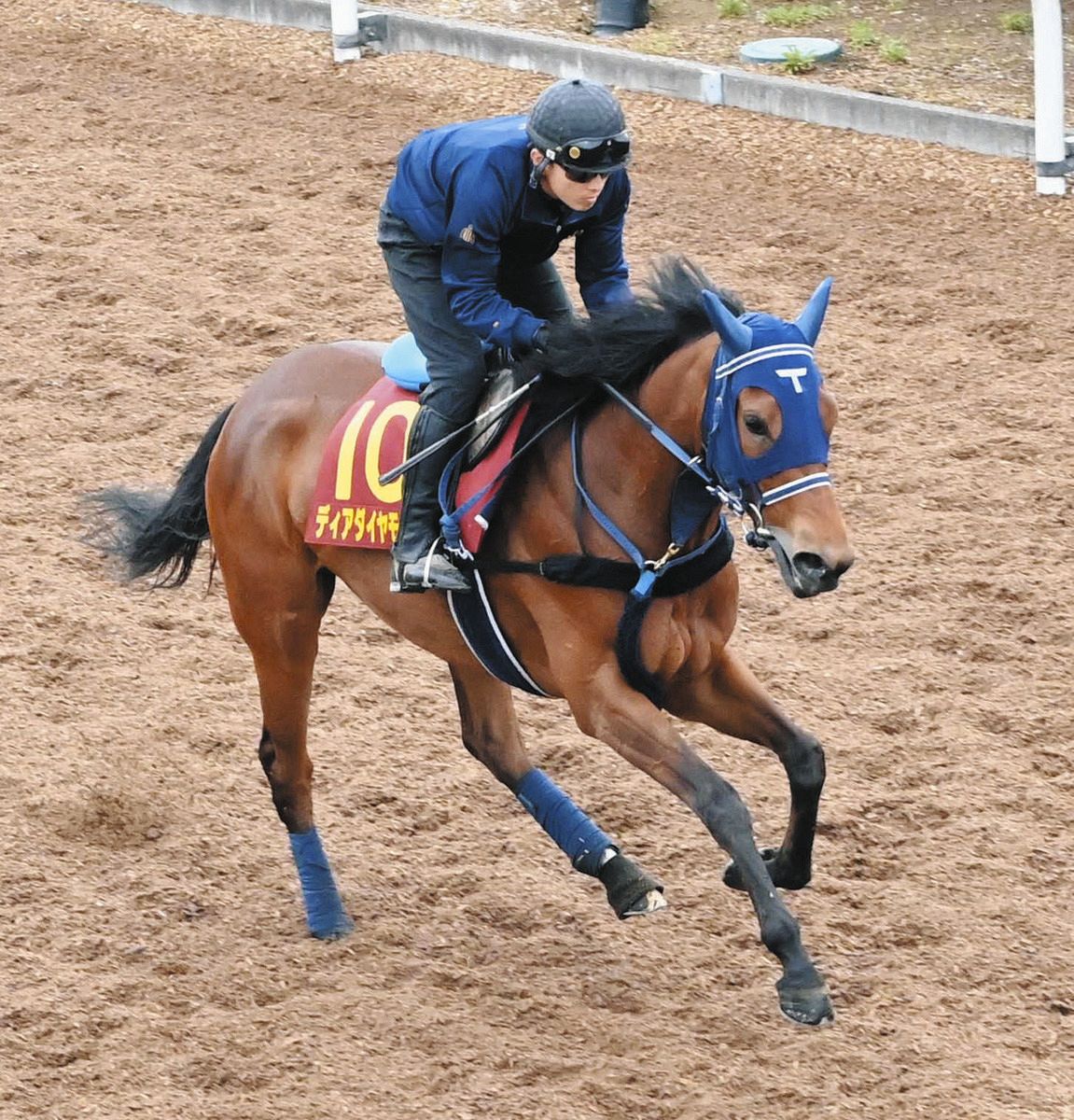 桜花賞】トライアル快勝で桜の最終切符つかんだディアダイヤモンド