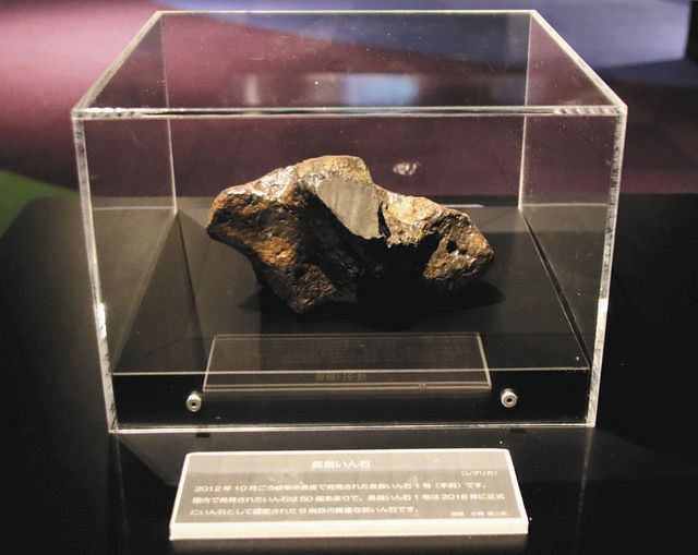 透明なケースに入れて展示された長良隕石のレプリカ＝岐阜市科学館で