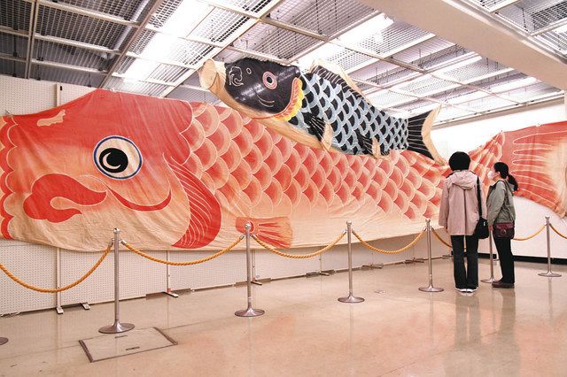 圧倒」巨大こいのぼり出現 蟹江町民が寄贈：中日新聞Web