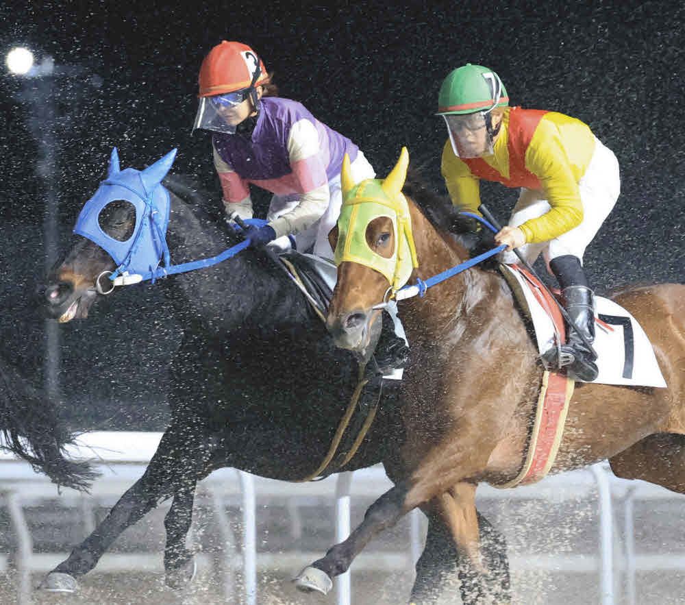 名古屋競馬】「みんなに応援される厩舎をつくっていきたい」 宮下瞳
