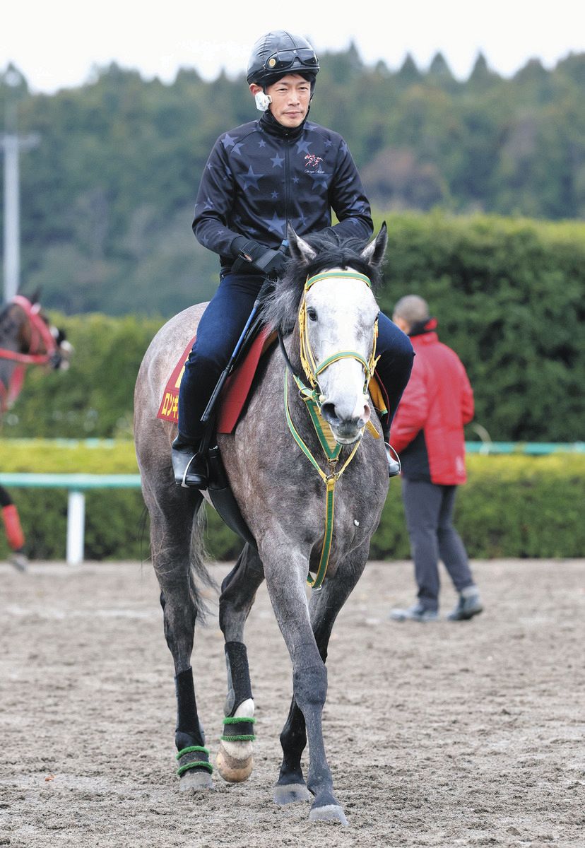 桜花賞・枠順確定】ロンギングセリーヌは4枠8番 竹内師「偶数で真ん中