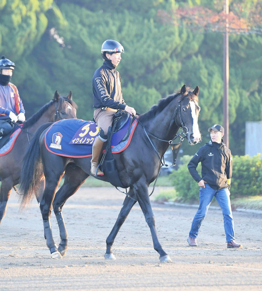 現役世界一馬』イクイノックス「出来過ぎ」の6枠7番 馬番と11年