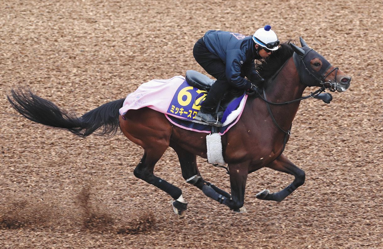 競馬 重賞3勝のミッキースワローが登録抹消 種牡馬転向へ ルミナスウォリアーは地方移籍 中日スポーツ 東京中日スポーツ