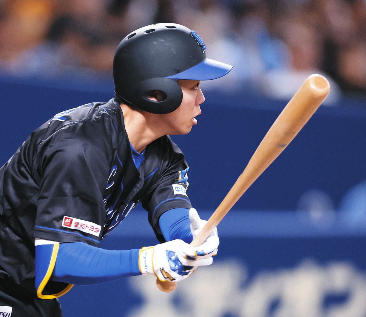活動歴および当時の関連ビジュアル記録