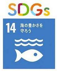 ｓｄｇｓ 大人も学ぼう 気候変動 海洋汚染 豊かな海守るには 北陸中日新聞web