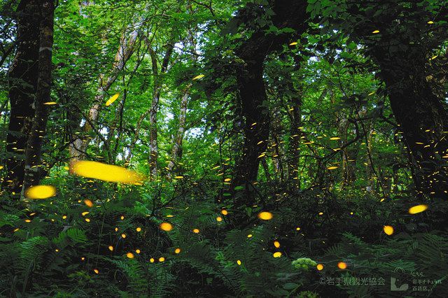 ユースク ふるさとイチオシ 岩手県編 中日新聞web