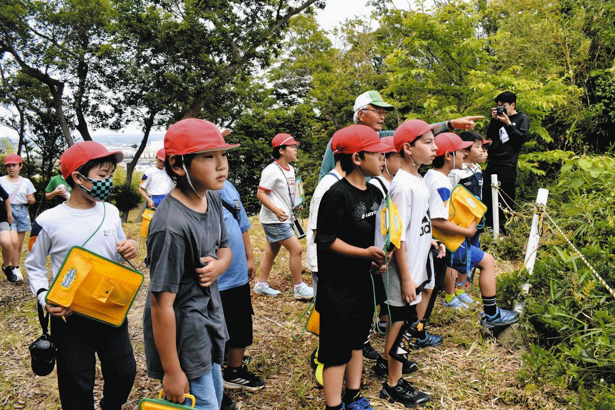 中村砦から戦国の世に思い 掛川・中小児童が徳川×武田攻防地を見学：中