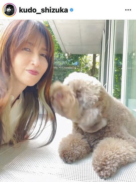 本日最終出品！工藤静香しーたん　マスコット NEWS | 工藤静香オフィシャルファンクラブ『Cherish』