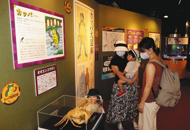 出た 未確認生物 碧南海浜水族館 カッパやツチノコをテーマに特別展 中日新聞web