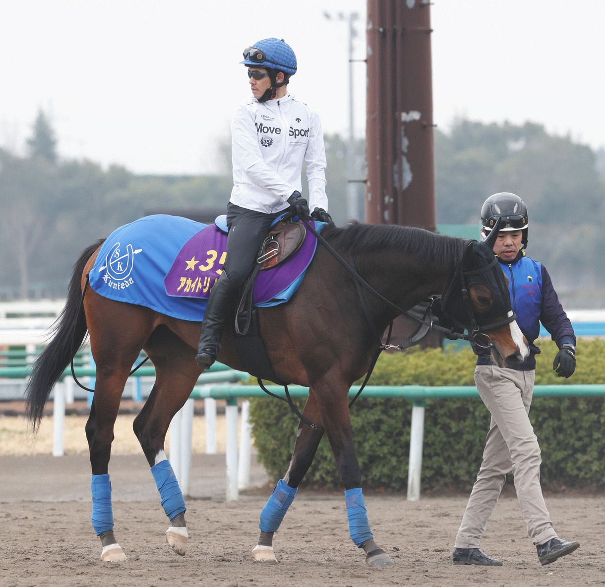 超良血アカイトリノムスメが引退、繁殖入り 昨年の秋華賞馬に国枝師 