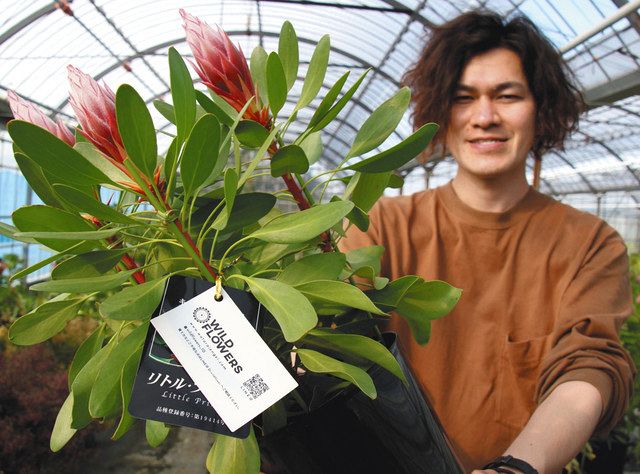 鉢花の育て方ｌｉｎｅで助言 田原の農家 購入者にアフターサービス 中日新聞web