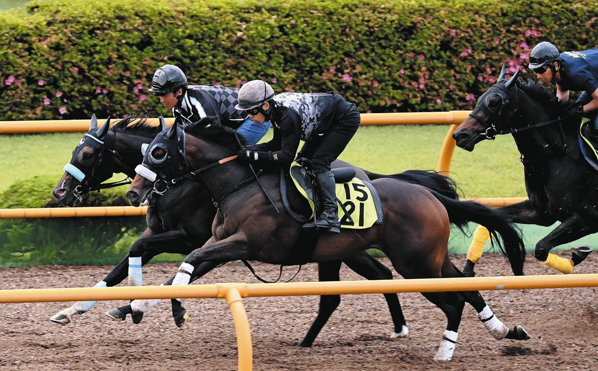 【期限切れ単勝馬券 】　2歳新馬　スイープトウショウ　ウマ娘 期限切れ単勝馬券 】2歳新馬 スイープトウショウ 2003/10/18