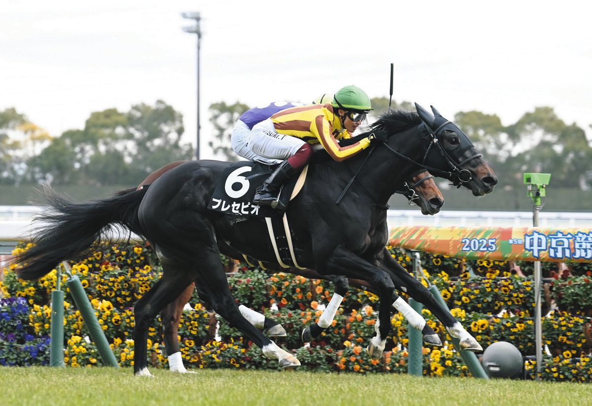 中京9R・つわぶき賞】8番人気プレセピオがゴール前で差し切り2勝目
