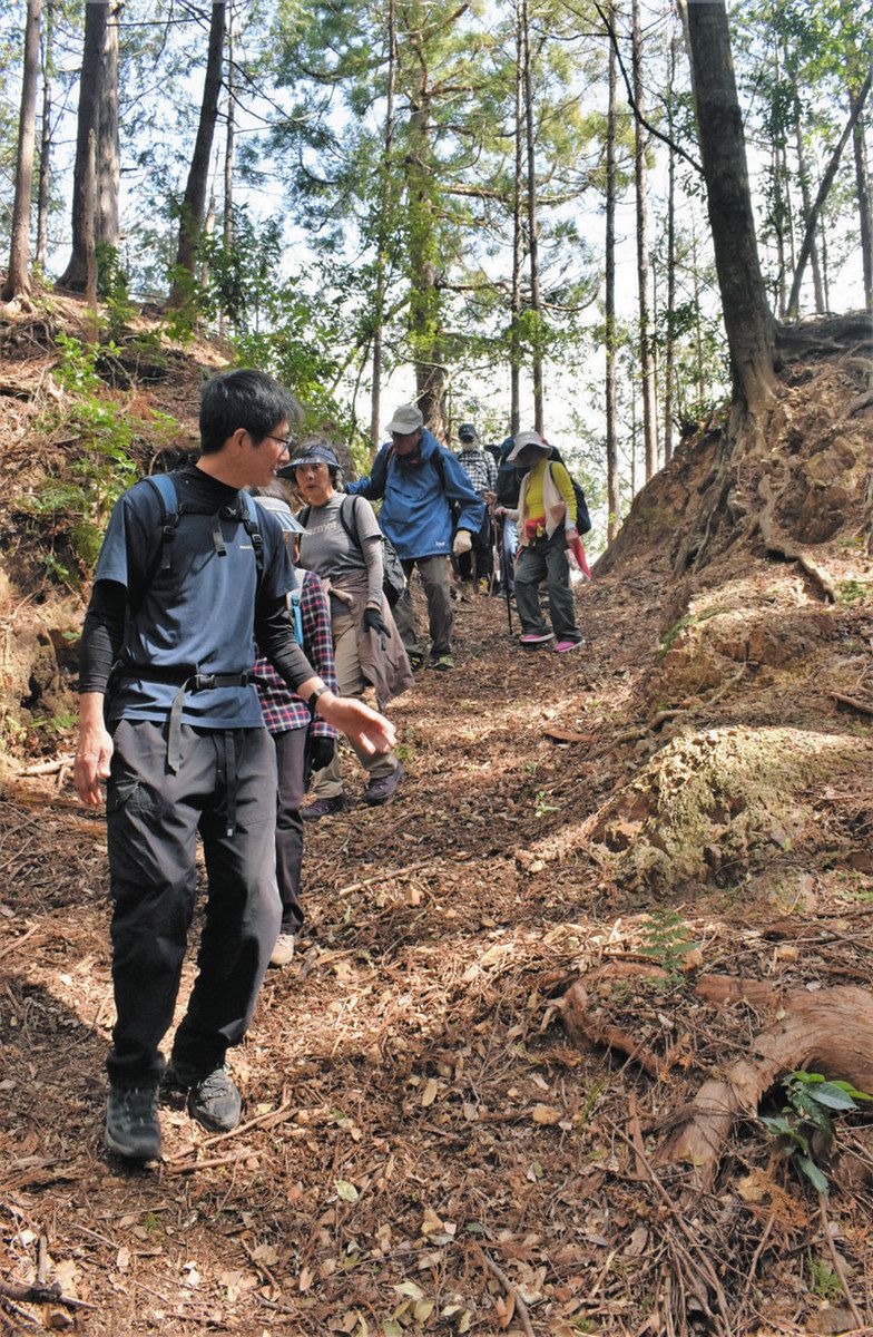 世界遺産に未登録でも熊野古道の一つ 紀北・一石峠など歩くツアー：中