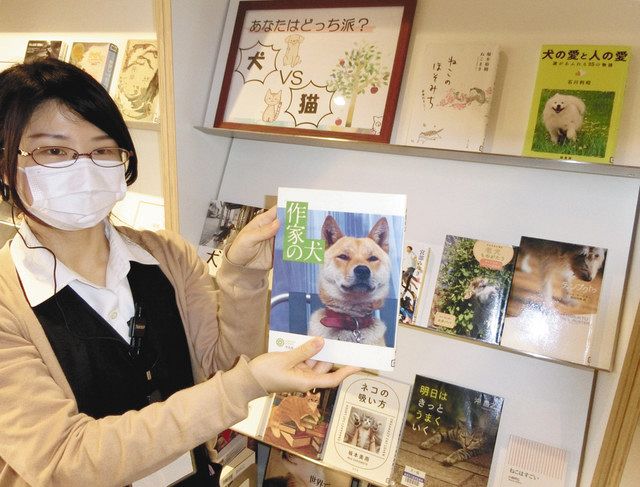 犬ｖｓ猫 心拍数 テーマに読書 砺波図書館で企画展示 北陸中日新聞web