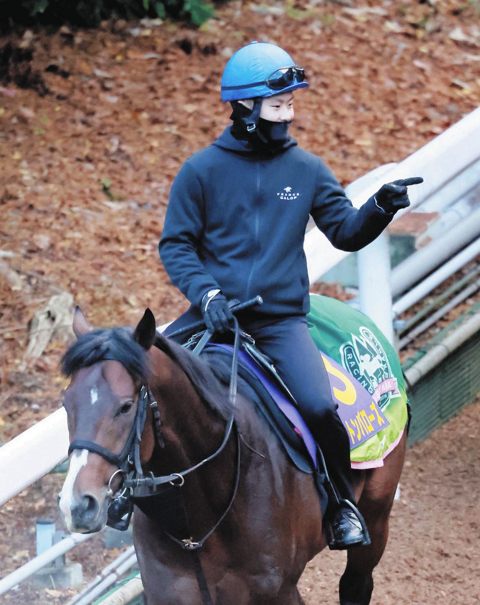エルトンバローズ 競馬 ホースレーシング 西村敦也サイン入り G1ジョッキー 西村淳也、初のG1勝利へ騎乗4戦負け知らずのエルトンバローズとタッグ