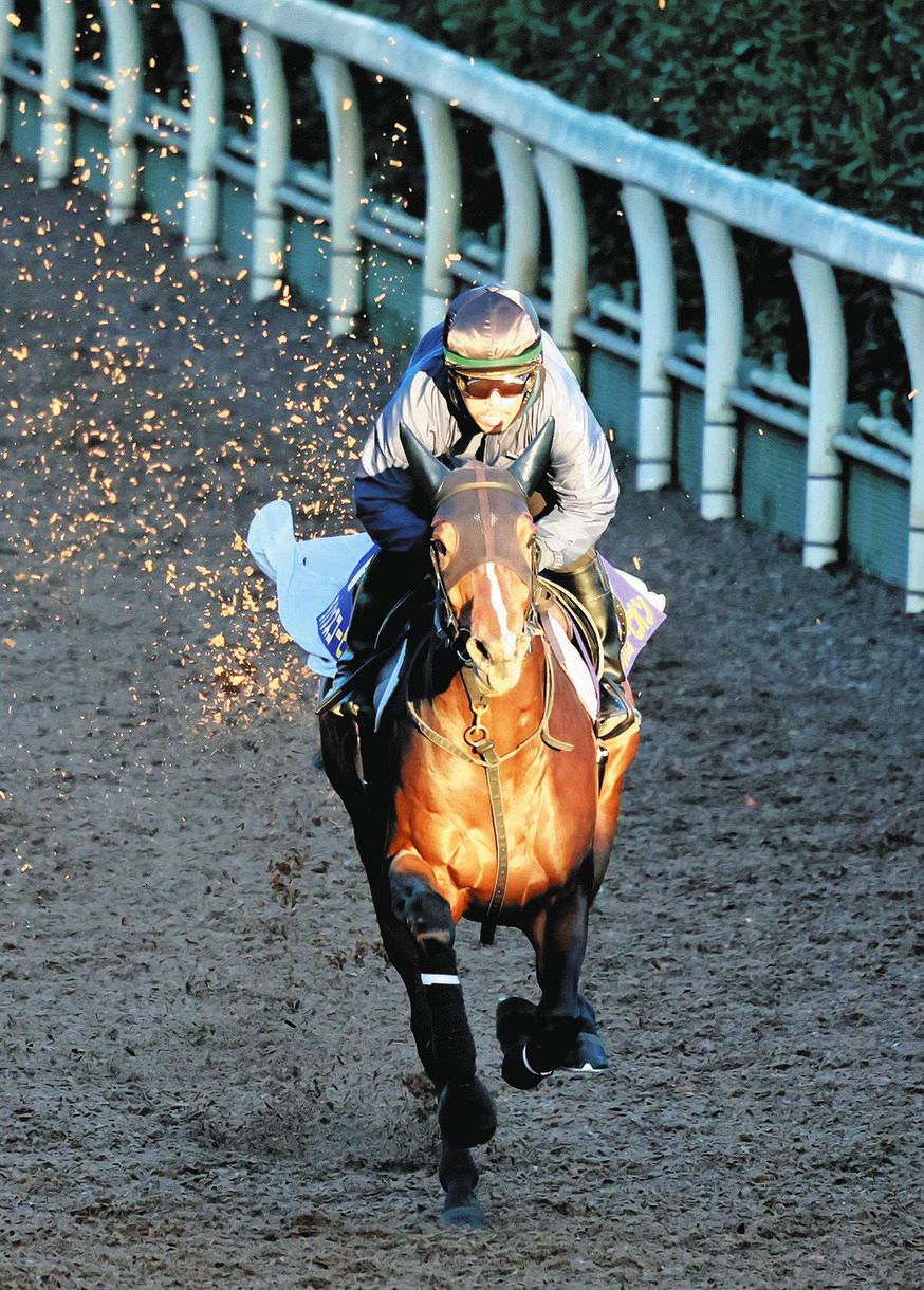 ダノンスコーピオン 最強マイラーの座 へ鋭い末脚で古馬の壁撃ち抜くぞ 安田隆師 いい状態で挑める マイルcs 中日スポーツ 東京中日スポーツ