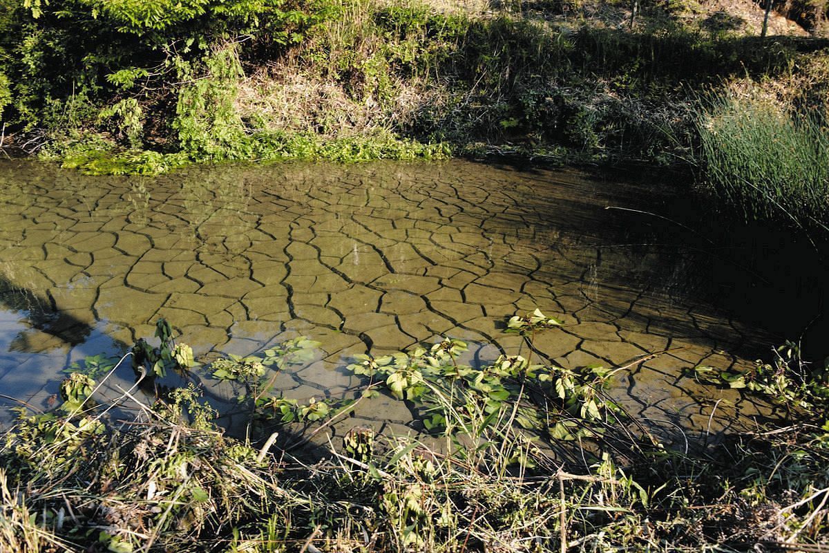 水位が下がったため池。雨で水があるものの日ごろは干上がっていて、底には亀裂が入っている＝5月、岐阜県瑞浪市大湫町で