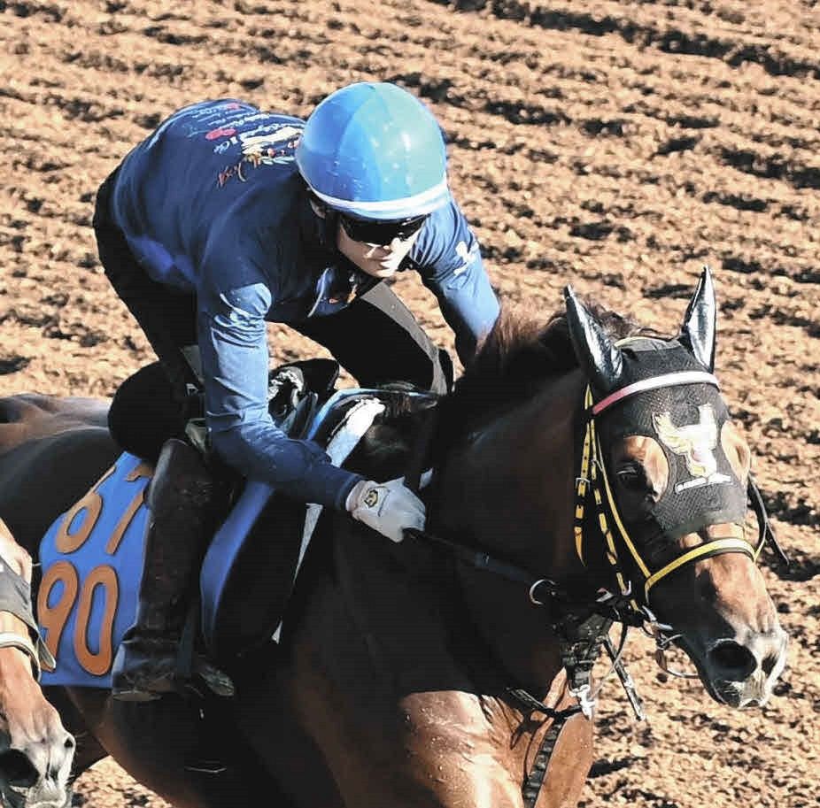 アイビスSD】3年前ビリーバーで重賞初Vを飾った杉原誠人が、今度は半弟