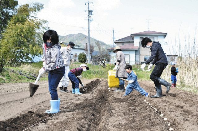 子どもも大人も楽しく参加したジャガイモの定植体験=飯田市北方のはなぶさ村農園で