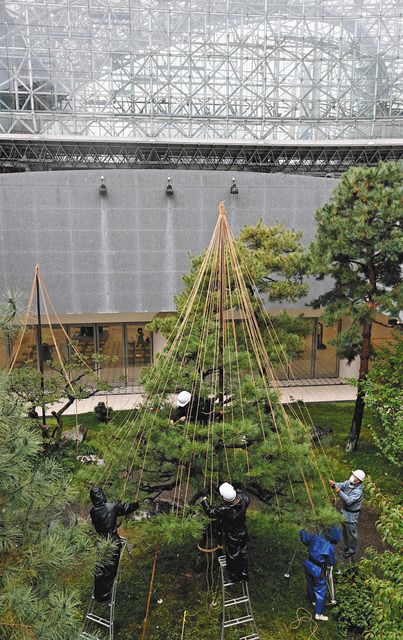 観光客迎える冬の風情 金沢駅で雪つり作業 北陸中日新聞web