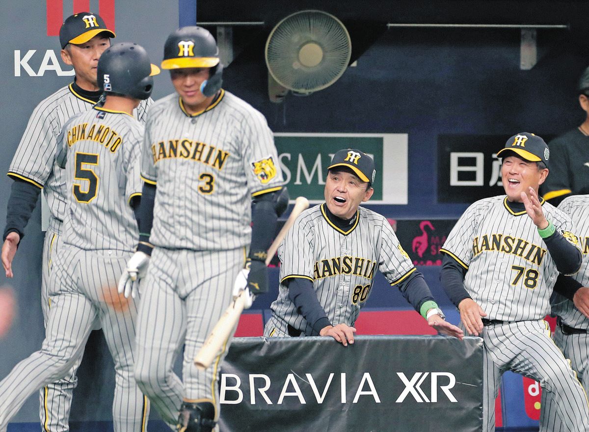 Amazon.co.jp: 2005年 日本シリーズ 公式球 阪神タイガースvs 千葉ロッテマリーンズ : スポーツ＆アウトドア