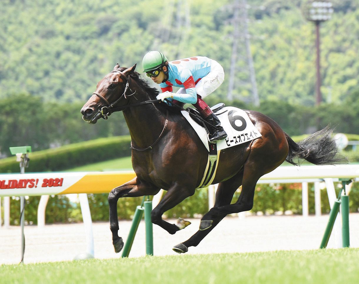 馬券単勝 ポルトフィーノ 新馬戦 競馬】新馬はこれを買えばボロ儲け！！新馬の必勝法教えます