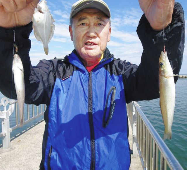 キス数OK 三重県鈴鹿市 白子漁港：中日スポーツ・東京中日スポーツ