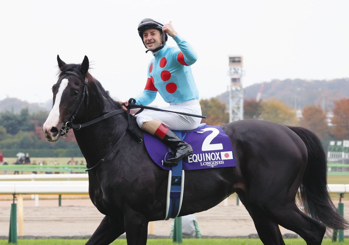 イクイノックス電撃引退、競馬ファン悲喜こもごも 「有馬記念で有終の美かと…」「素晴らしい血統を残して」：中日スポーツ・東京中日スポーツ