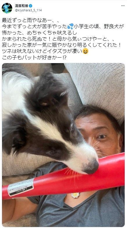 写真 犬を飼い始めた清原和博さん 中日スポーツ 東京中日スポーツ