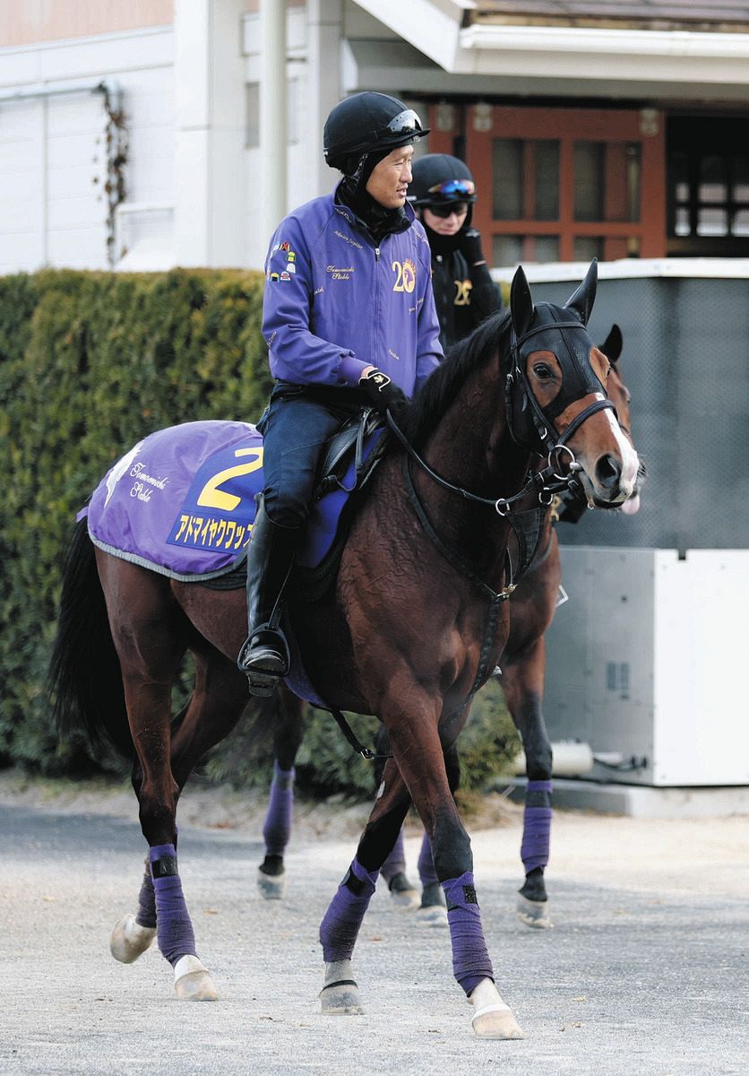 熊沢重文さんの二刀流予想】2戦2勝の重賞勝ち馬三つどもえの構図 本命