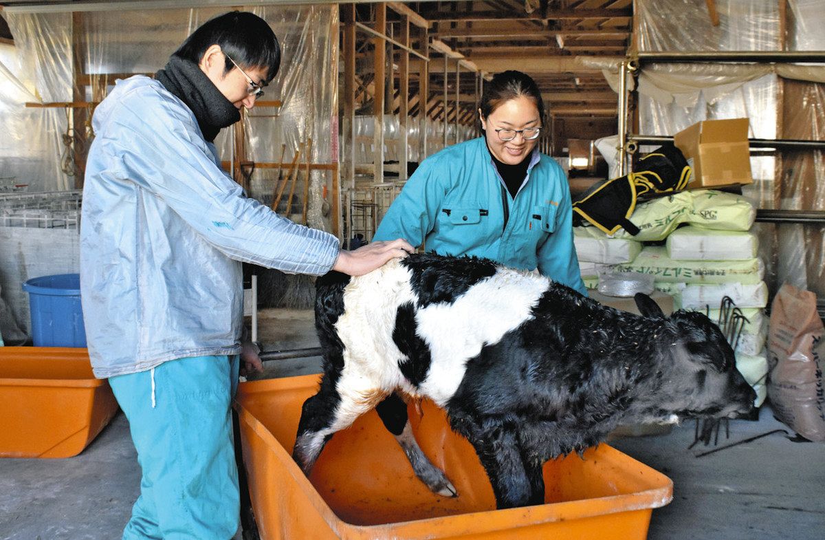 石川 県 牧場