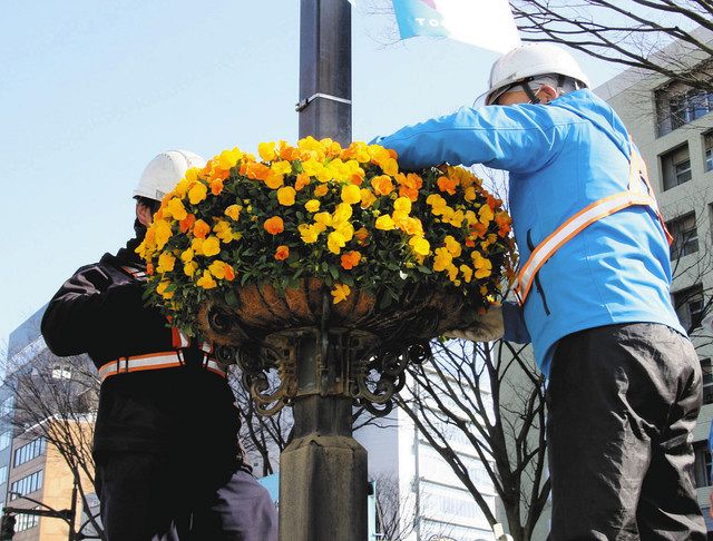 富山市中心部 春の装い 花のバスケット設置 北陸中日新聞web