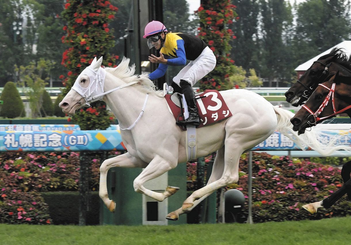 ソダシ 競走馬 ソダシ（Sodashi） | 競馬データベース | JRA-VAN World - 海外