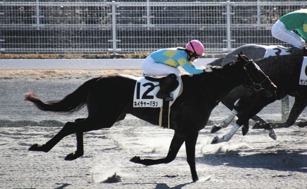 競馬 左鎖骨骨折の藤田菜七子が戦列復帰 中京１レースで９着も 違和感なく競馬に入っていくことができました 中日スポーツ 東京中日スポーツ