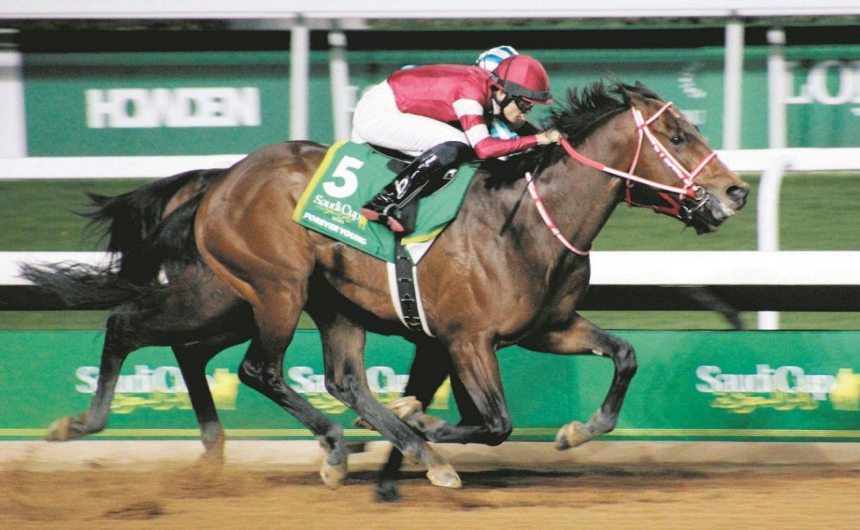 黒人ボクサー The man with the heaviest punch in the world! | Top 10