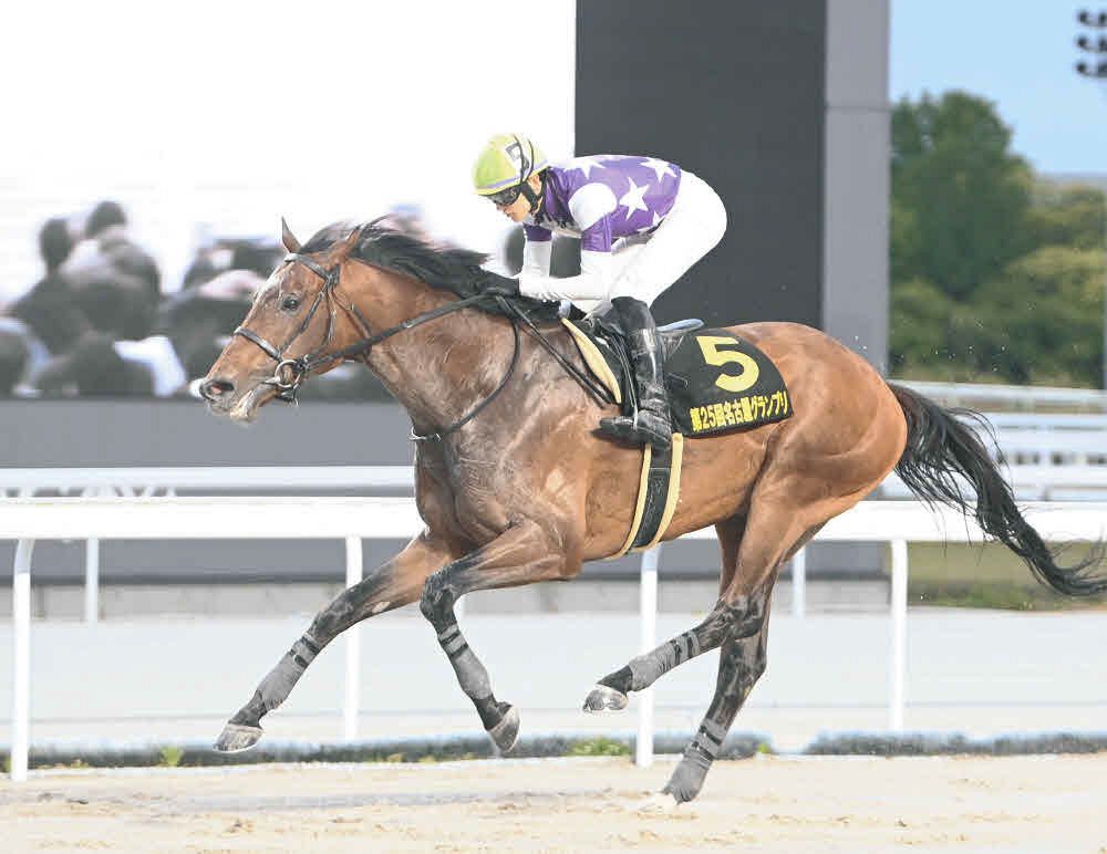 名古屋グランプリ、名古屋での1レース、6日の名古屋競馬、いずれも