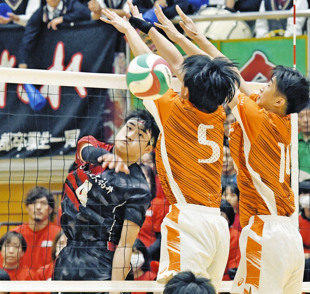 福井工大福井 バレーボール ゲームパンツ 限定】福井工大福井バレーボールゲームパンツ バレーボール ゲーム