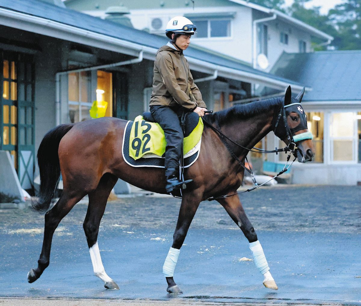 2歳新馬戦】ルメール絶賛のモーリス産駒ゾロアストロがスタンバイ