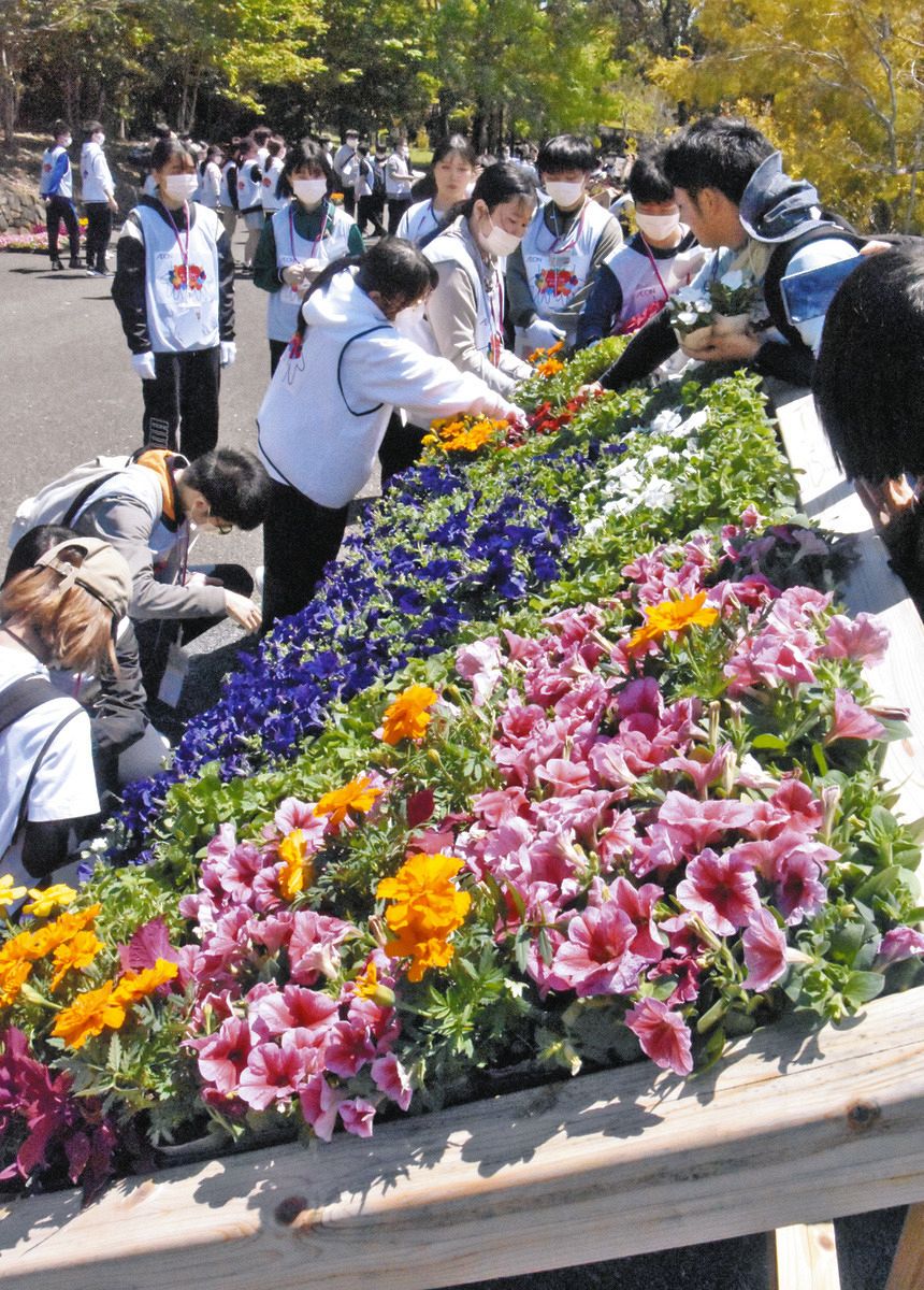 花の苗を敷き詰めたアートを仕上げるマックスバリュ東海の社員たち＝２５日午前、浜松市中央区の浜名湖ガーデンパークで