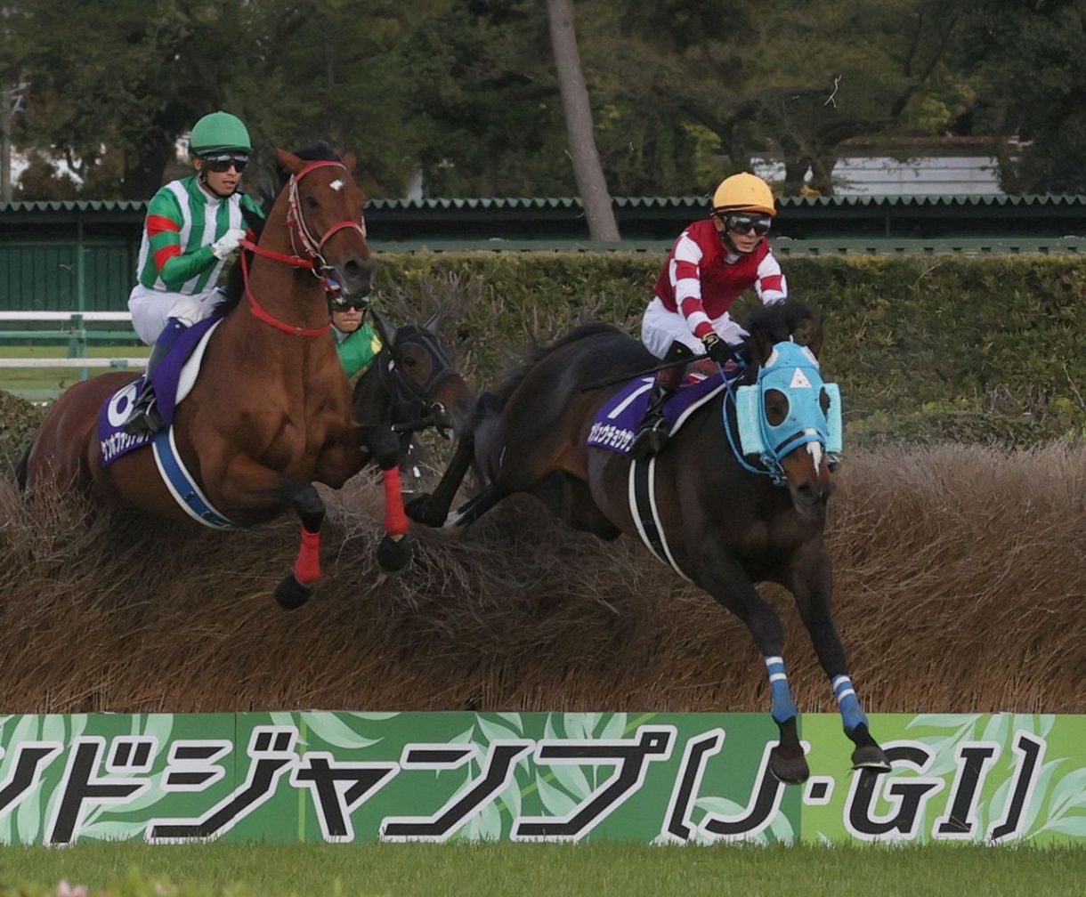 JRA最優秀障害馬4度のオジュウチョウサン、引退式を24日の中山競馬最終