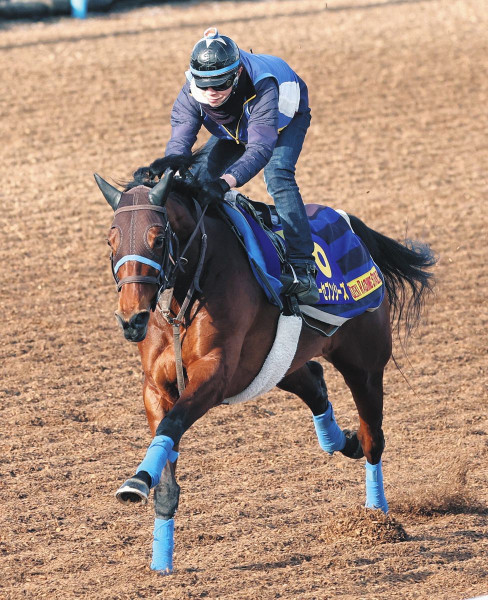 有馬記念・調教診断】若原隆宏はスルーセブンシーズを激推し「突き抜け