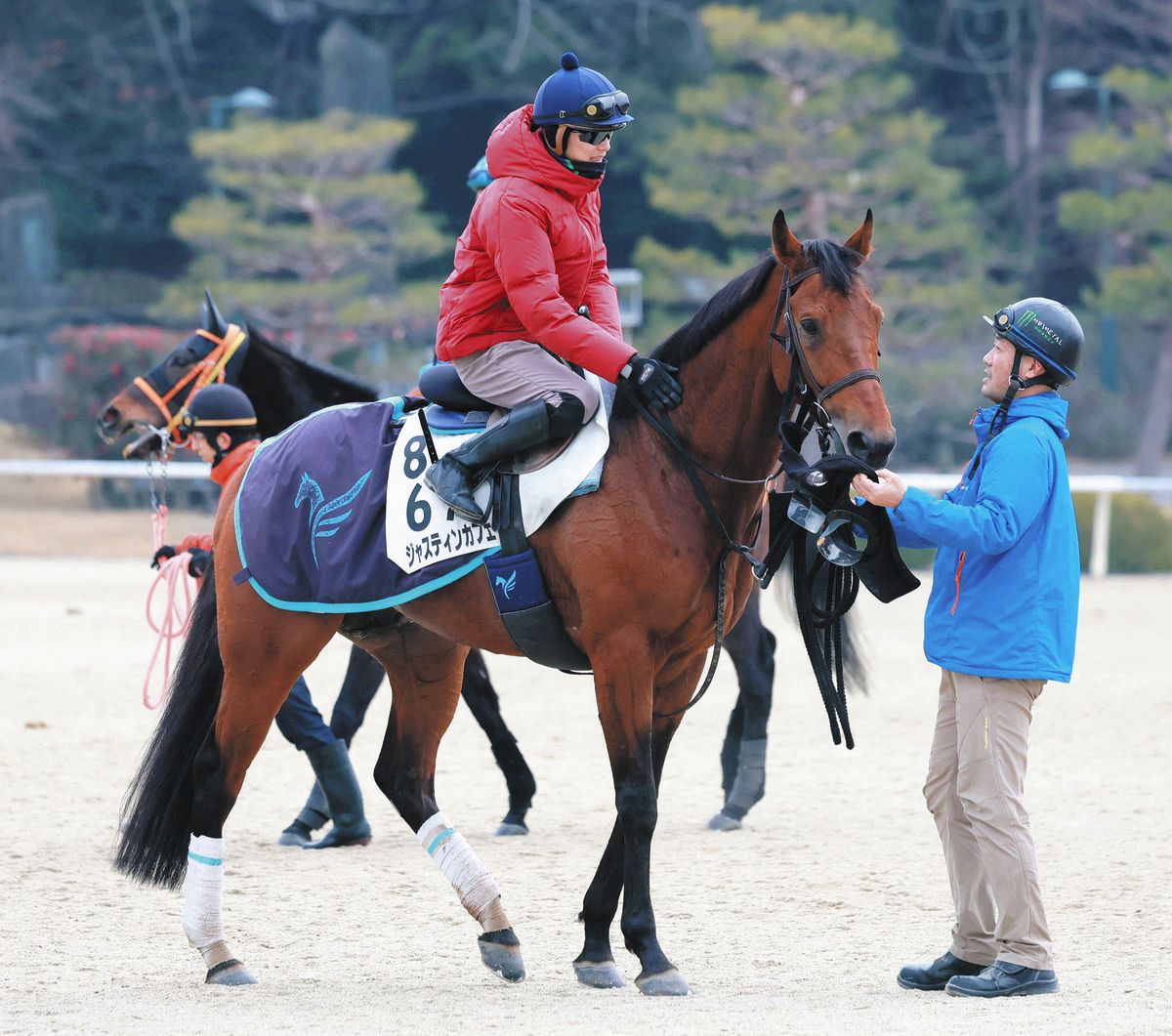 東京新聞杯・傾向と対策】外枠は割引必要、7歳以上は大苦戦
