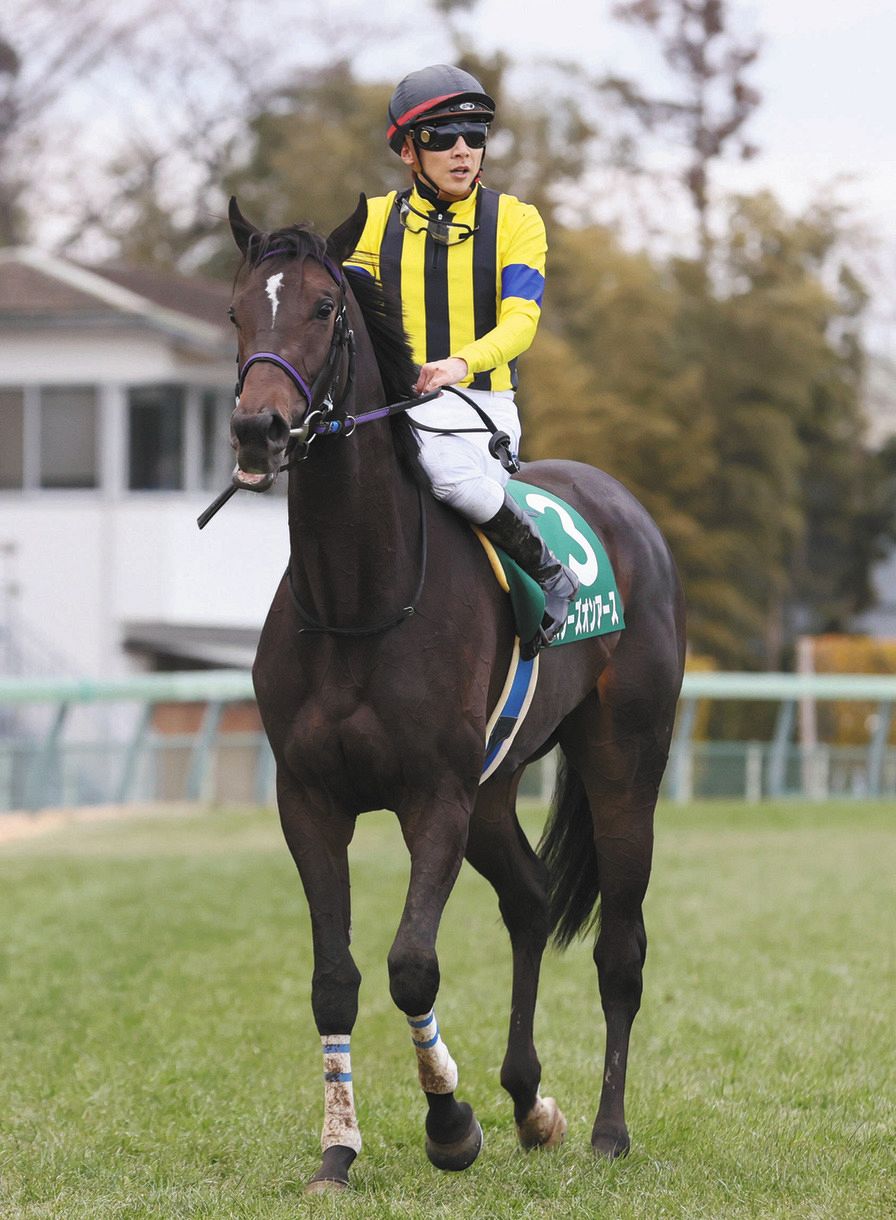 秋華賞 スターズオンアースの三冠達成なるか 逆転へ虎視眈々の紫苑ｓ覇者スタニングローズ ローズｓ覇者アートハウス 中日スポーツ 東京中日スポーツ