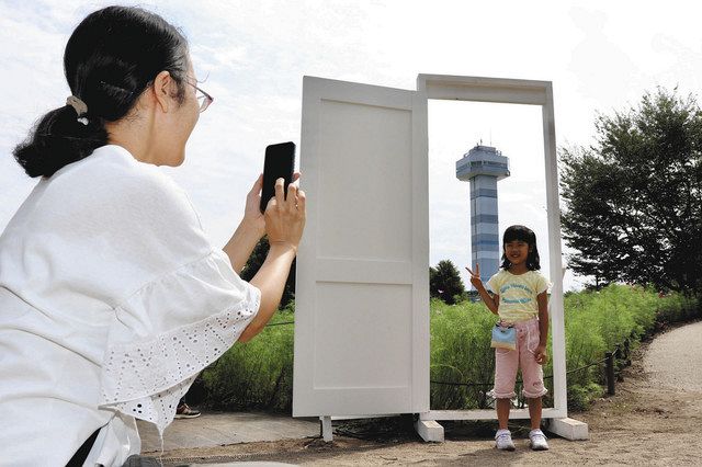 白いドア越しにコスモス畑とタワー 木曽三川公園に人気撮影スポット 中日新聞web