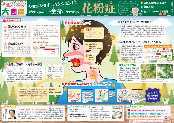 まるごと大図解 花粉症 1月29日 中日新聞web まるごと大図解 花粉症 1月29日 中日新聞web