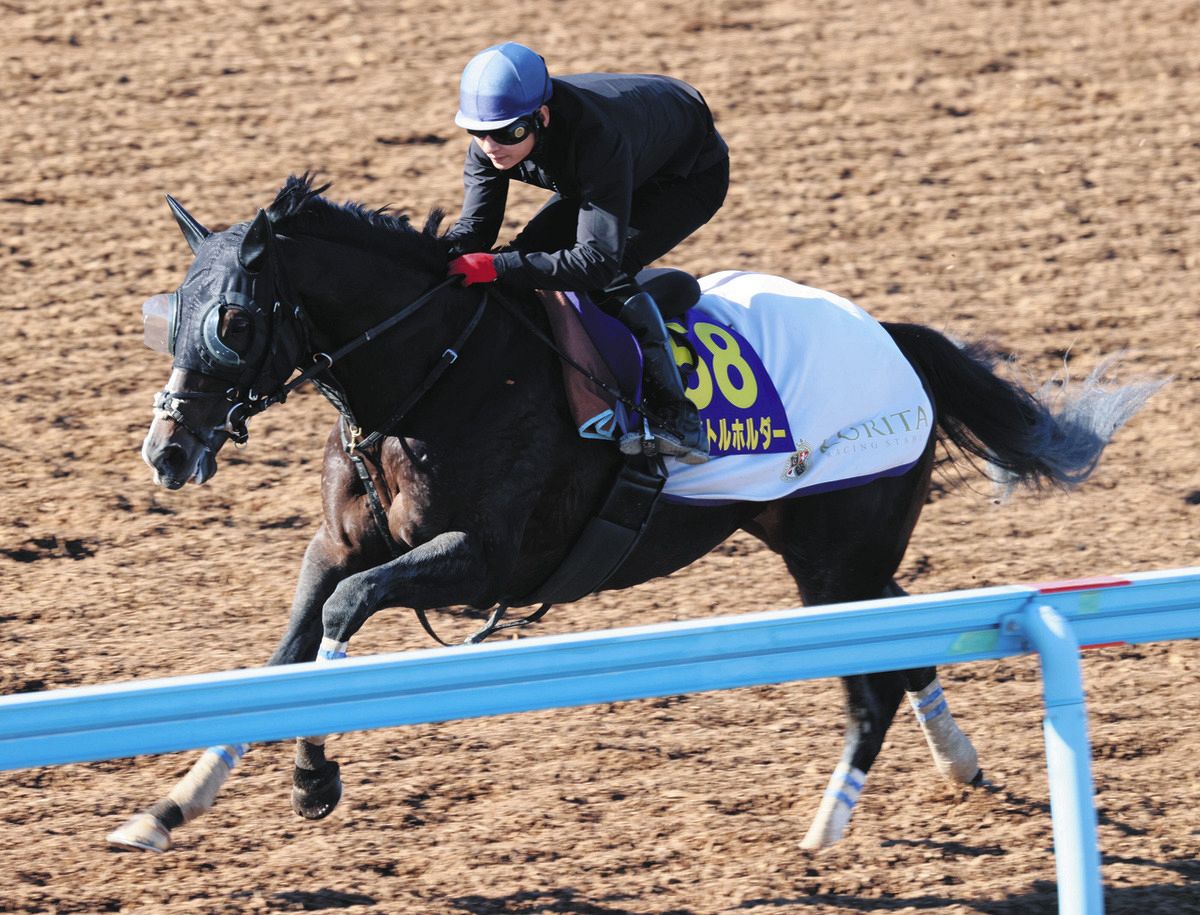 タイトルホルダー 引退記念ジャンパー 競馬 JRA タイトル